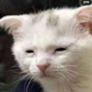 Meet your Posher, Edgar